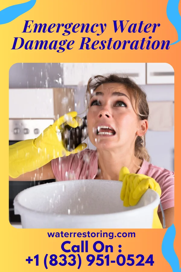 Emergency Water Damage Restoration in Peach Orchard, AR