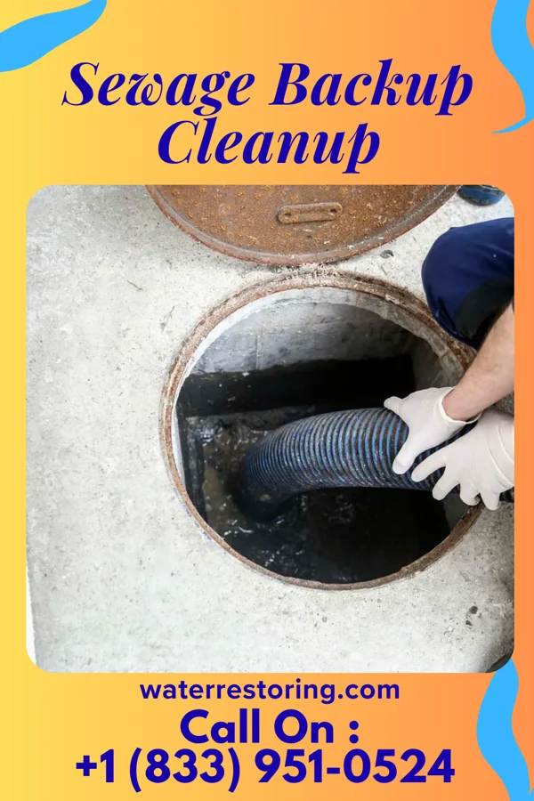 Sewage Backup Cleanup in Peach Orchard, AR